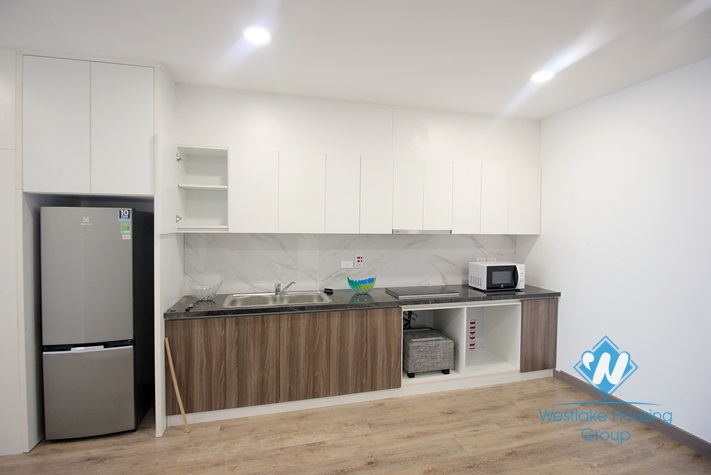 Elegant and intimate apartment for rent in Tay Ho, Ha Noi